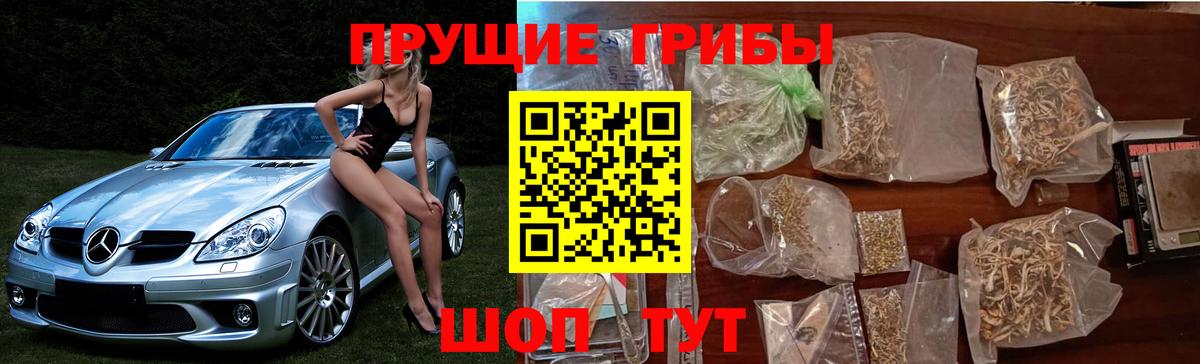Галлюциногенные грибы MAGIC MUSHROOMS Биробиджан