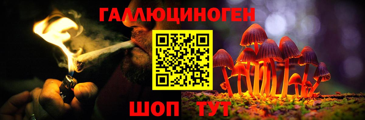 Биробиджан  Галлюциногенные грибы ЛСД  Вход с VPN 